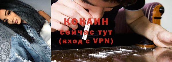 стаф Арсеньев