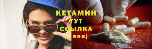 крисы Аркадак