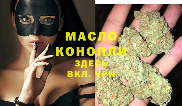 стаф Арсеньев