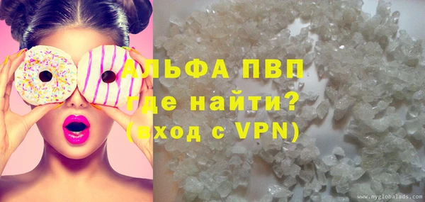 стаф Арсеньев