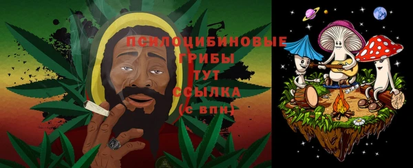 крисы Аркадак