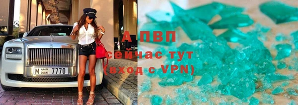 крисы Аркадак