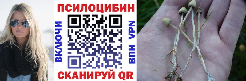 Галлюциногенные грибы Psilocybine cubensis  что такое   Армянск 